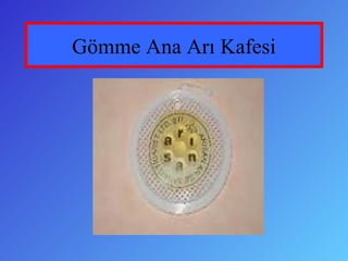 Gömme Ana Arı Kafesi
 