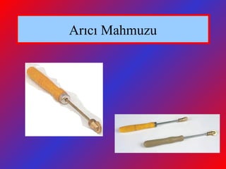 Arıcı Mahmuzu
 