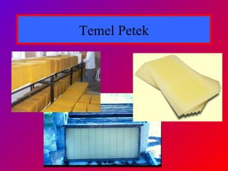 Temel Petek
 