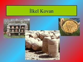 İlkel Kovan
 
