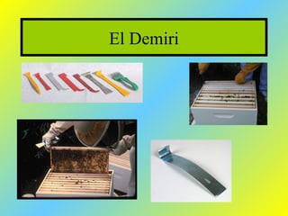 El Demiri
 
