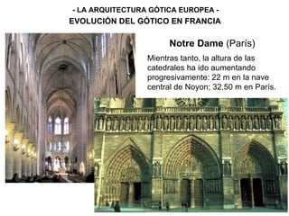 - LA ARQUITECTURA GÓTICA EUROPEA - EVOLUCIÓN DEL GÓTICO EN FRANCIA Notre Dame  (París) Mientras tanto, la altura de las catedrales ha ido aumentando progresivamente: 22 m en la nave central de Noyon; 32,50 m en París. 