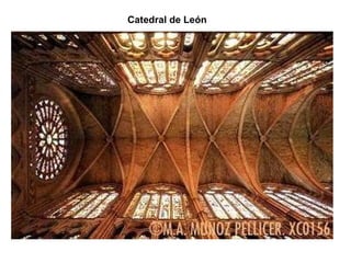 Catedral de León 