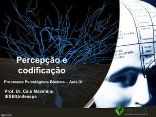 Percepção e
codificação
Prof. Dr. Caio Maximino
IESB/Unifesspa
Processos Psicológicos Básicos – Aula IV
 