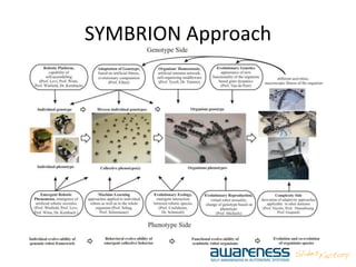 SYMBRION Approach
 