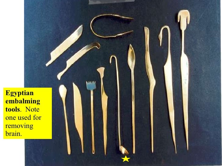 04 Axial Skeleton Skull