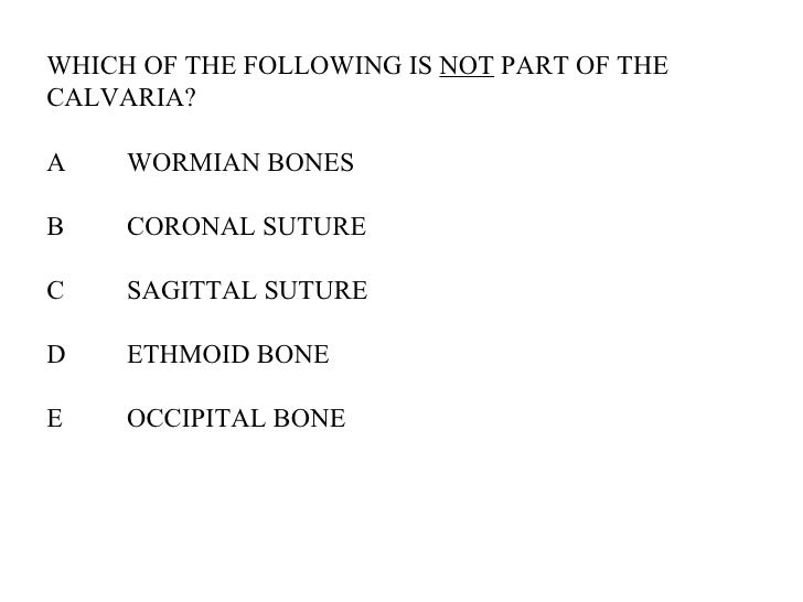 Axial Skeleton Skull