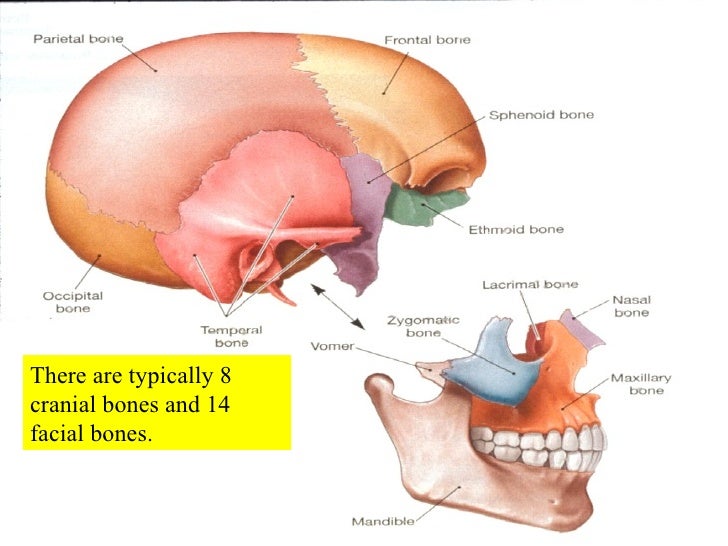 image.slidesharecdn.com