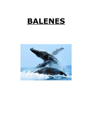BALENES
 