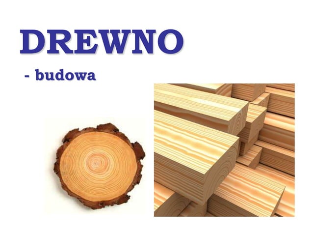 04 budowa drewna | PPT | Woodworking | Arts and Crafts