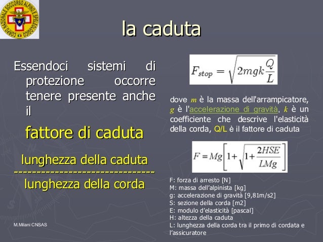04 caduta sindrome-da_sospensione_cnsas_2009_milani