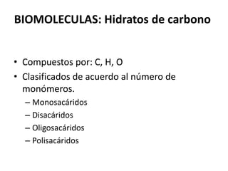 BIOMOLECULAS: Hidratos de carbono
• Compuestos por: C, H, O
• Clasificados de acuerdo al número de
monómeros.
– Monosacáridos
– Disacáridos
– Oligosacáridos
– Polisacáridos
 