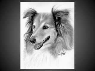 Làmines I Làmines II
 