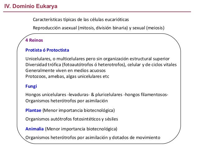 IV. Dominio Eukarya
Características típicas de las células eucarióticas
Reproducción asexual (mitosis, división binaria) y...