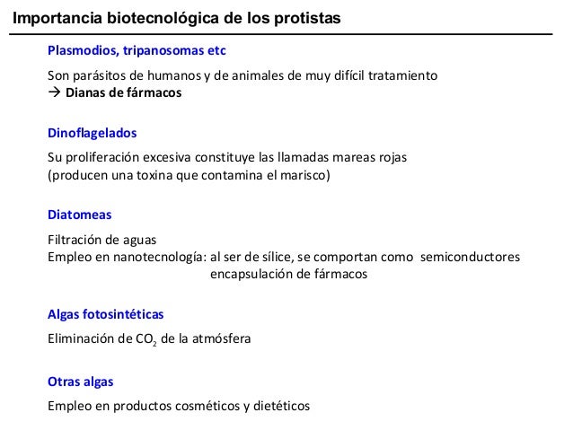 Importancia biotecnológica de los protistas
Plasmodios, tripanosomas etc
Son parásitos de humanos y de animales de muy dif...