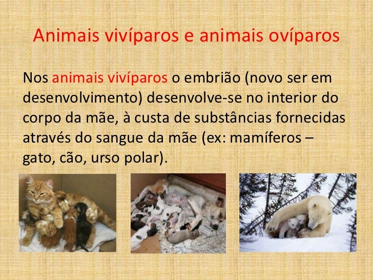 04 como se reproduzem os animais