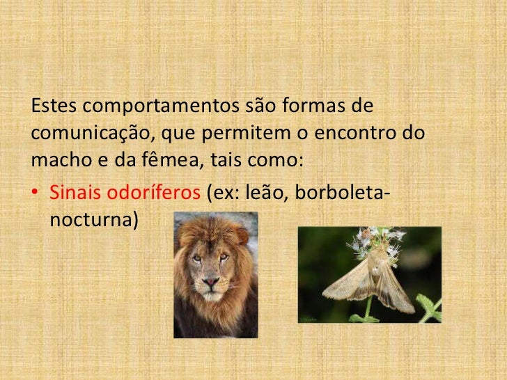 Diversas Espécies De Seres Vivos Se Reproduzem