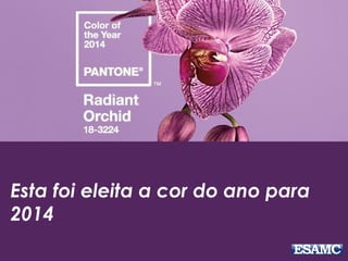 Esta foi eleita a cor do ano para 
2014 
 