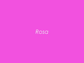Rosa 
 