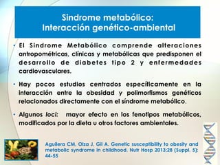 Sindrome metabólico:
Interacción genético-ambiental
•  E l S i n d r o m e M e t a b ó l i c o c o m p r e n d e a l t e r a c i o n e s
antropométricas, clínicas y metabólicas que predisponen el
desarrollo de diabetes tipo 2 y enfermedades
cardiovasculares.
•  Hay pocos estudios centrados específicamente en la
interacción entre la obesidad y polimorfismos genéticos
relacionados directamente con el síndrome metabólico.
•  Algunos loci: mayor efecto en los fenotipos metabólicos,
modificados por la dieta u otros factores ambientales.
Aguilera CM, Olza J, Gil A. Genetic susceptibility to obesity and
metabolic syndrome in childhood. Nutr Hosp 2013;28 (Suppl. 5):
44-55

 