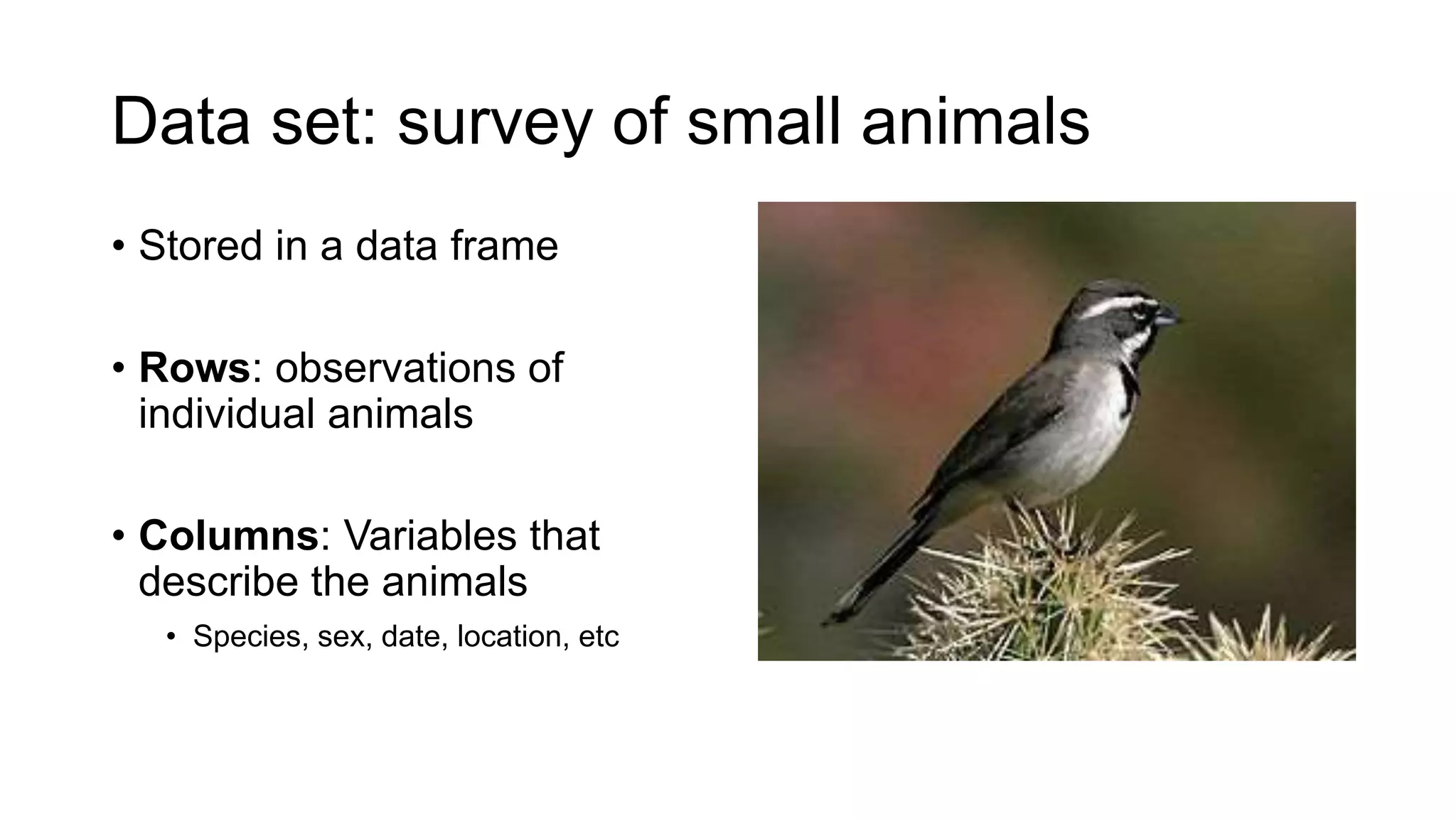 Data set: survey of small animals
• Stored in a data frame
• Rows: observations of
individual animals
• Columns: Variables that
describe the animals
• Species, sex, date, location, etc
 