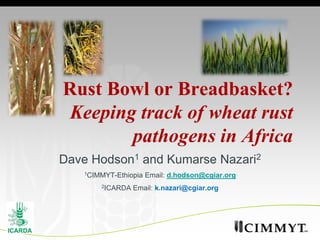 Rust Bowl or Breadbasket?
 Keeping track of wheat rust
        pathogens in Africa
Dave Hodson1 and Kumarse Nazari2
   1CIMMYT-Ethiopia   Email: d.hodson@cgiar.org
       2ICARDA   Email: k.nazari@cgiar.org
 