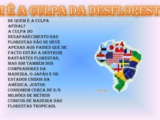 De quem é a culpa
afinal?
A culpa do
desaparecimento das
florestas não se deve
apenas aos países que de
facto estão a destruir
bastantes florestas,
mas sim também dos
compradores da
madeira. O Japão e os
Estados Unidos da
América, juntos
consomem cerca de 6/6
milhões de metros
cúbicos de madeira das
florestas tropicais.
 
