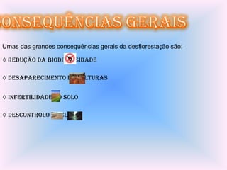 Umas das grandes consequências gerais da desflorestação são:

◊ Redução da biodiversidade

◊ Desaparecimento de culturas


◊ Infertilidade do solo

◊ Descontrolo do clima
 