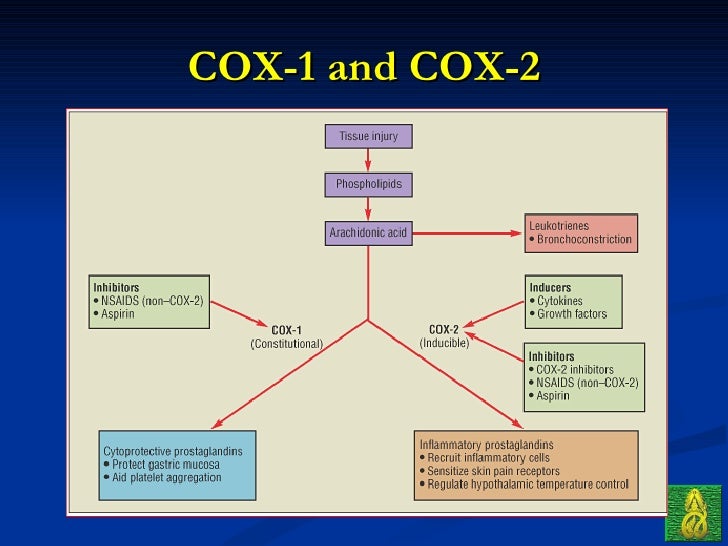 ortho 04 drugs in orthopaedic (principle & common use)