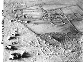 Elevagedepoussières-1920
 