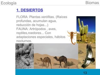 Ecología                                    Biomas
       1. DESIERTOS
       FLORA: Plantas xerófitas. (Raíces
       profundas, acumulan agua,
       reducción de hojas...)
       FAUNA: Artrópodos , aves,
       reptiles,roedores... Con
       adaptaciones especiales, hábitos
       nocturnos.




                                           13
 