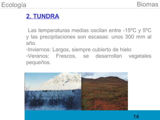 Ecología                                           Biomas
       2. TUNDRA

        Las temperaturas medias oscilan entre -15ºC y 5ºC
       y las precipitaciones son escasas: unos 300 mm al
       año.
       -Inviernos: Largos, siempre cubierto de hielo
       -Veranos: Frescos, se desarrollan vegetales
       pequeños.




                                                 14
 