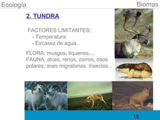 Ecología                                         Biomas
       2. TUNDRA

           FACTORES LIMITANTES:
            - Temperatura
            - Escasez de agua.
       FLORA: musgos, líquenes,...
       FAUNA: alces, renos, zorros, osos
       polares, aves migratorias, insectos...




                                                15
 