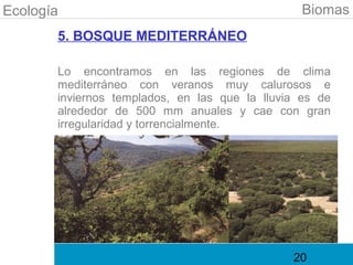 Ecología                                         Biomas
       5. BOSQUE MEDITERRÁNEO

       Lo encontramos en las regiones de clima
       mediterráneo con veranos muy calurosos e
       inviernos templados, en las que la lluvia es de
       alrededor de 500 mm anuales y cae con gran
       irregularidad y torrencialmente.




                                               20
 