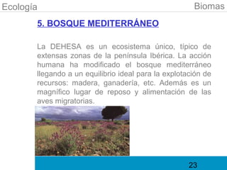 Ecología                                              Biomas
       5. BOSQUE MEDITERRÁNEO

       La DEHESA es un ecosistema único, típico de
       extensas zonas de la península Ibérica. La acción
       humana ha modificado el bosque mediterráneo
       llegando a un equilibrio ideal para la explotación de
       recursos: madera, ganadería, etc. Además es un
       magnífico lugar de reposo y alimentación de las
       aves migratorias.




                                                     23
 