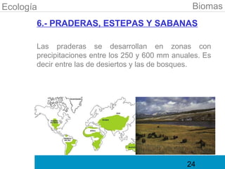 Ecología                                           Biomas
       6.- PRADERAS, ESTEPAS Y SABANAS

       Las praderas se desarrollan en zonas con
       precipitaciones entre los 250 y 600 mm anuales. Es
       decir entre las de desiertos y las de bosques.




                                                  24
 