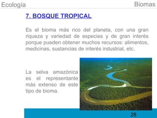 Ecología                                          Biomas
       7. BOSQUE TROPICAL

       Es el bioma más rico del planeta, con una gran
       riqueza y variedad de especies y de gran interés
       porque pueden obtener muchos recursos: alimentos,
       medicinas, sustancias de interés industrial, etc.



       La selva amazónica
       es el representante
       más extenso de este
       tipo de bioma.



                                                28
 