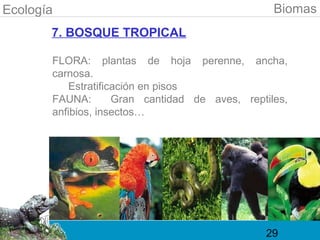 Ecología                                          Biomas
       7. BOSQUE TROPICAL

       FLORA: plantas de hoja perenne, ancha,
       carnosa.
           Estratificación en pisos
       FAUNA:        Gran cantidad de aves, reptiles,
       anfibios, insectos…




                                                29
 
