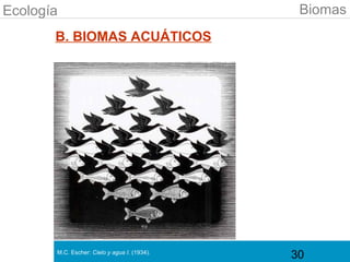 Ecología                                       Biomas
       B. BIOMAS ACUÁTICOS




       M.C. Escher: Cielo y agua I. (1934).
                                              30
 