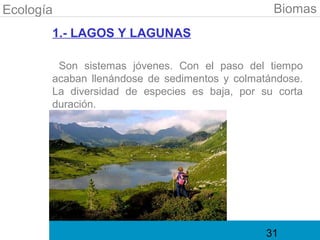 Ecología                                        Biomas
       1.- LAGOS Y LAGUNAS

        Son sistemas jóvenes. Con el paso del tiempo
       acaban llenándose de sedimentos y colmatándose.
       La diversidad de especies es baja, por su corta
       duración.




                                               31
 