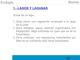 Ecología                                               Biomas
       1.- LAGOS Y LAGUNAS

       Zonas de un lago:

       1. Zona litoral: con vegetación enraizada a lo largo
          de la orilla
       2. Zona pelágica: aguas abiertas superficiales con
          fitoplancton, llega suficiente luz para que se de la
          fotosíntesis.
       3. Zona profunda: con organismos heterótrofos por
          falta de luz suficiente para hacer fotosíntesis.




                                                     32
 