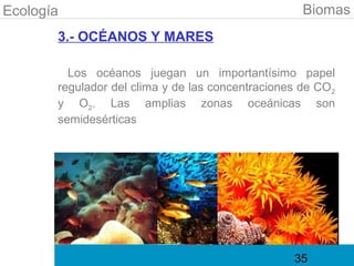 Ecología                                            Biomas
       3.- OCÉANOS Y MARES

         Los océanos juegan un importantísimo papel
       regulador del clima y de las concentraciones de CO2
       y O2. Las amplias zonas oceánicas son
       semidesérticas




                                                  35
 