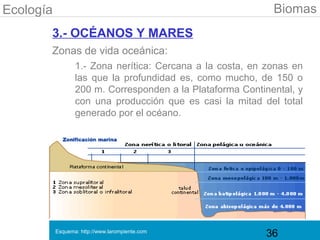 Ecología                                                     Biomas
       3.- OCÉANOS Y MARES
       Zonas de vida oceánica:
                  1.- Zona nerítica: Cercana a la costa, en zonas en
                  las que la profundidad es, como mucho, de 150 o
                  200 m. Corresponden a la Plataforma Continental, y
                  con una producción que es casi la mitad del total
                  generado por el océano.




           Esquema: http://www.larompiente.com
                                                           36
 