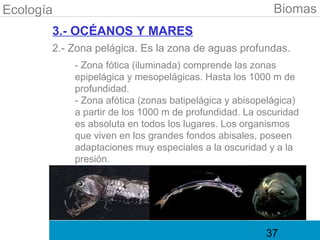 Ecología                                                Biomas
       3.- OCÉANOS Y MARES
       2.- Zona pelágica. Es la zona de aguas profundas.
           - Zona fótica (iluminada) comprende las zonas
           epipelágica y mesopelágicas. Hasta los 1000 m de
           profundidad.
           - Zona afótica (zonas batipelágica y abisopelágica)
           a partir de los 1000 m de profundidad. La oscuridad
           es absoluta en todos los lugares. Los organismos
           que viven en los grandes fondos abisales, poseen
           adaptaciones muy especiales a la oscuridad y a la
           presión.




                                                      37
 