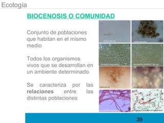 Ecología
       BIOCENOSIS O COMUNIDAD

       Conjunto de poblaciones
       que habitan en el mismo
       medio

       Todos los organismos
       vivos que se desarrollan en
       un ambiente determinado.

       Se caracteriza por      las
       relaciones      entre   las
       distintas poblaciones


                                     39
 