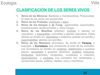 Ecología                                                                     Vida
       CLASIFICACIÓN DE LOS SERES VIVOS
       1.   Reino de las Móneras: Bacterias y Cianobacterias. Procariontes.
            El resto de los reinos son eucariontes
       2.   Reino de los Protistas: protozoos y algas
       3.   Reino de los Hongos o de Fungi: zygomicetes, ascomicetes,
            basidiomicetes, deuteromicetes y otros hongos.
       4.   Reino de las Metafitas (plantas): briofitas o plantas no
            vasculares y traqueofitas, cormofitas o plantas vasculares. Éstas
            últimas se dividen en: pteridofitas o helechos: plantas sin semilla y
            espermatofitas: plantas con semillas
       5.   Reino de los Metazoos (animales): Se divide en Parazoa, oParazoa
            esponjas, y Eumetazoa, que comprende al resto de los animales.
                         Eumetazoa
            Los Eumetazoa se dividen en cnidarios, platelmintos o gusanos
            planos, nematodes o gusanos cilindricos, anelidos, moluscos,
            artrópodos (arácnidos, miriápodos, crustáceos e insectos),
            equinodermos y cordados. Los Cordados son vertebrados y
            comprenden peces, anfibios, reptiles, aves y mamíferos.



                                                                      44
 