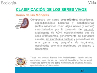Ecología                                                                Vida
       CLASIFICACIÓN DE LOS SERES VIVOS
       Reino de las Móneras
               Compuestro por seres procarióntes: organismos,
                  específicamente bacterias y cianobacterias
                  (antes conocidos como algas azules y verdes)
                  caracterizados por la posesión de un solo
                  cromosoma de ADN, ocasionalmente dos de
                  esos cromosomas, generalmente de estructura
                  circular, sin membrana nuclear y poseedores de
                  una gama muy pequeña de orgánulos,
                  usualmente sólo una membrana de plasma y
                  ribosomas


               Todos los demás Reinos son eucariontes: tienen células
               eucariotas, que tienen su material hereditario fundamental
               encerrado dentro de una doble membrana, la envoltura nuclear,
               que delimita un núcleo celular

                                                                45
 