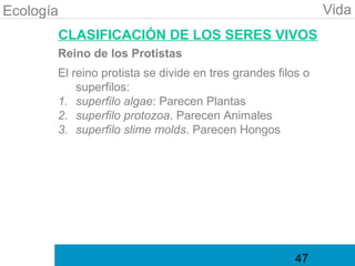 Ecología                                                     Vida
       CLASIFICACIÓN DE LOS SERES VIVOS
       Reino de los Protistas
       El reino protista se divide en tres grandes filos o
           superfilos:
       1. superfilo algae: Parecen Plantas
       2. superfilo protozoa. Parecen Animales
       3. superfilo slime molds. Parecen Hongos




                                                       47
 