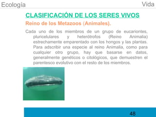 Ecología                                                         Vida
       CLASIFICACIÓN DE LOS SERES VIVOS
       Reino de los Metazoos (Animales).
       Cada uno de los miembros de un grupo de eucariontes,
          pluricelulares   y    heterótrofos      (Reino   Animalia)
          estrechamente emparentado con los hongos y las plantas.
          Para adscribir una especie al reino Animalia, como para
          cualquier otro grupo, hay que basarse en datos,
          generalmente genéticos o citológicos, que demuestren el
          parentesco evolutivo con el resto de los miembros.




                                                           48
 