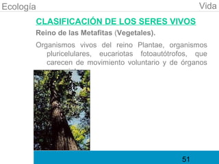 Ecología                                             Vida
       CLASIFICACIÓN DE LOS SERES VIVOS
       Reino de las Metafitas (Vegetales).
       Organismos vivos del reino Plantae, organismos
          pluricelulares, eucariotas fotoautótrofos, que
          carecen de movimiento voluntario y de órganos
          sensoriales.




                                                51
 